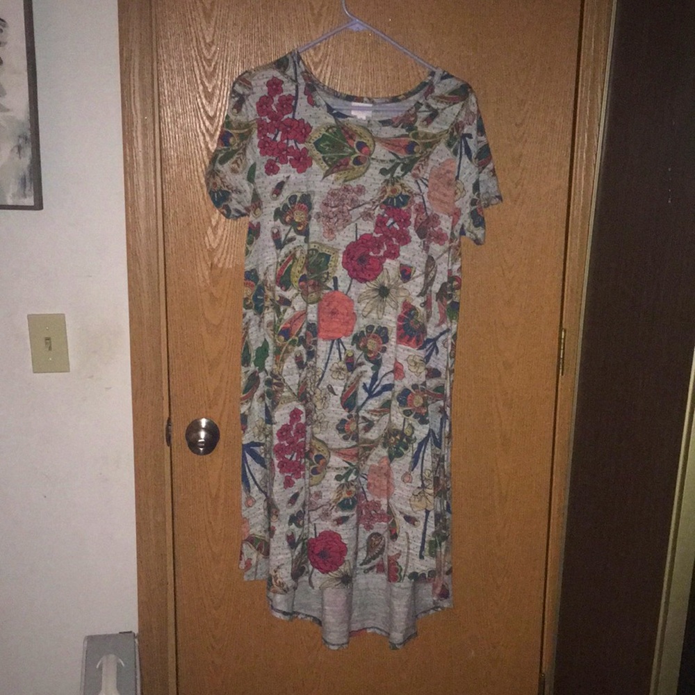 Multicolor, LuLaroe maxi dress. With small pocket on front. Size Medium